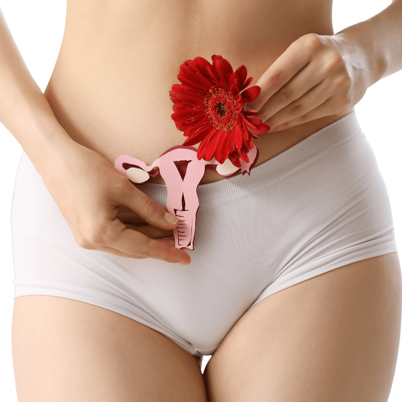 culotte menstruelle avec image fleur rouge et schéma utérus